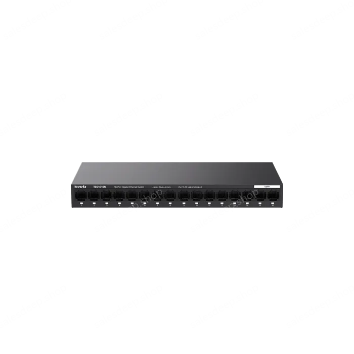 2000 Mbps 16-Port Gigabit Ethernet Switch